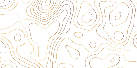 Abstract golden topography vector background. Topographic map. Geographic mountain relief. counter map golden wavy line paper textrue. grid curve line abstract vector illustration .