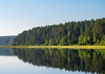 Fototapeta na wymiar A green forest along the riverbank on a summer day.