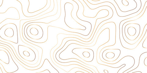 Abstract golden topography vector background. Topographic map. Geographic mountain relief. counter map golden wavy line paper textrue. grid curve line abstract vector illustration .