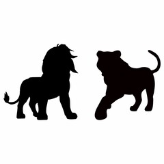 Naklejka premium silhouette of a lion fighting a tiger