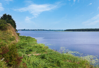Fototapeta na wymiar Summer rushy lake view with small grove on opposite shore