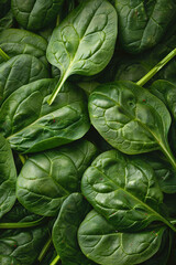 Fototapeta na wymiar super Ultra closeup macro of spinach