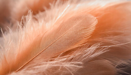 Trendy Peach Feather Texture, Close Up: Abstract Macro Apricot Fluffy Feather Background, 2024