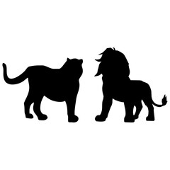 silhouette of a lion fighting a tiger