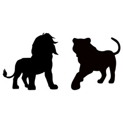 silhouette of a lion fighting a tiger