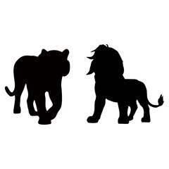 silhouette of a lion fighting a tiger