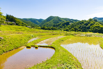 日本の風景・初夏　埼玉県横瀬町　田植え期の寺坂棚田