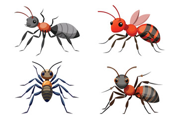  Ant flat animal vector Set pro style illustration
