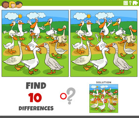 differences game with cartoon geese birds farm animal characters
