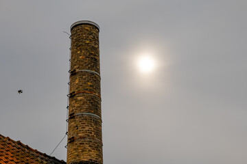brick chimney with a bird flying by
