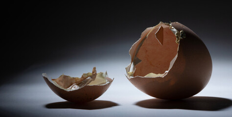 Organic eggs that has hatched with room for text