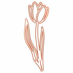 Tulip flower pink holiday decoration.