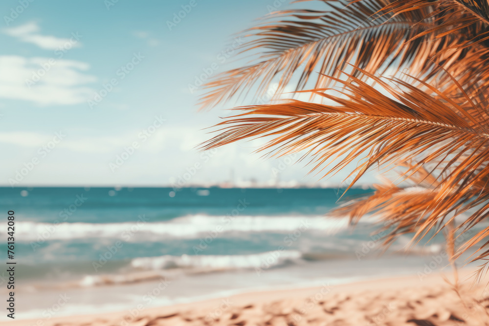 Poster palm tree is on beach with ocean in background