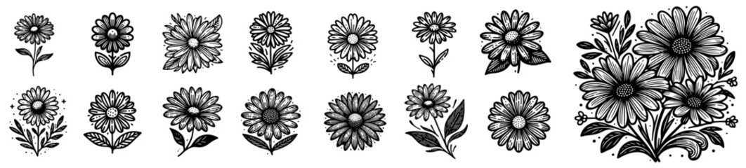 daisy flowers in bloom simple elegance black vector - obrazy, fototapety, plakaty