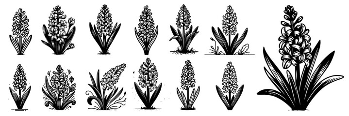 blooming hyacinth flowers in vibrant colors black vector laser cutting engraving - obrazy, fototapety, plakaty