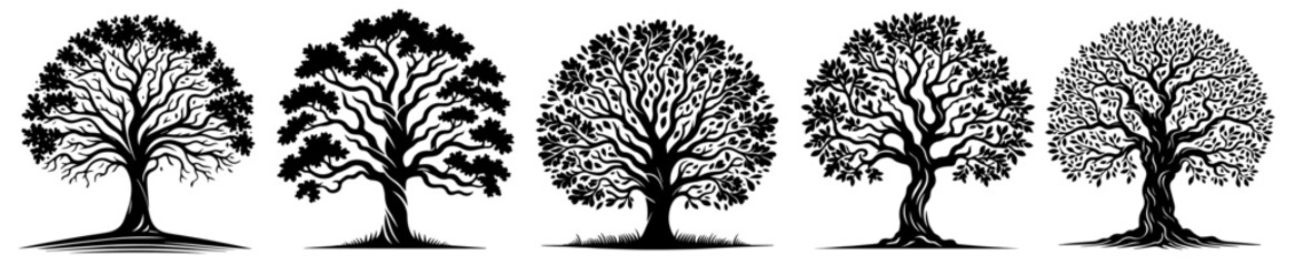 rnamental trees with numerous branching limbs black vector laser cutting engraving - obrazy, fototapety, plakaty
