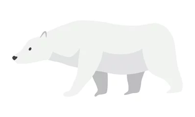 Foto op Canvas North pole arctic fauna. Polar bear vector illustration in flat style. Arctic animal icon. Winter zoo design element © the8monkey