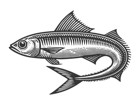 engraved fish swimming, black and white clip art preview