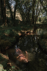 Woman submerged in water floating dreamily on the forest river. Concept of spiritual connection...