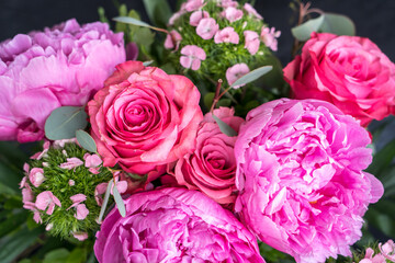 Close-up of flowers Pink peonies