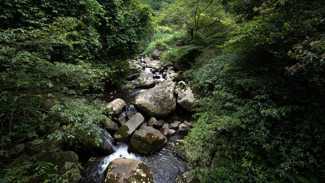 Shooting from middle of the bridge, upon the river, stream go gently between huge rocks, and hidden in the forest, in Yangmingshan National Park, Taipei, Taiwan.