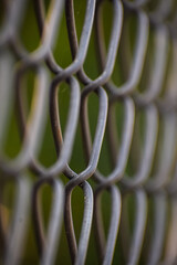 Chain link fence near the garden. Metallic fence.