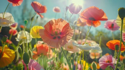 Badezimmer Foto Rückwand Sunlit poppy field © May's Creations