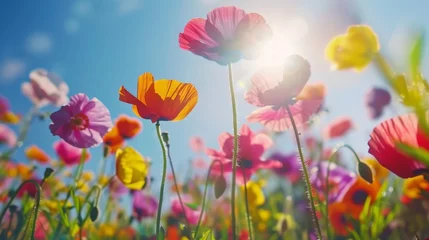 Türaufkleber Poppy brilliance under sun © May's Creations