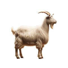 Goat on a Transparent Background