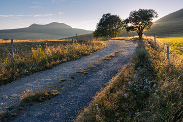 chemin de campagne avec lever de soleil. Haute Loire et le mont Mézenc