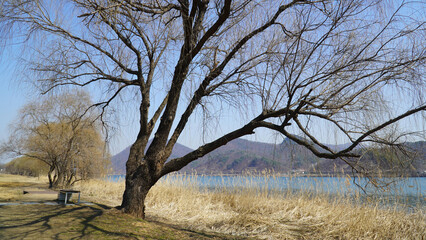 the spring scenery of the Han River