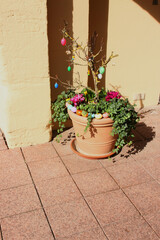 An image of an ornamental plant standing in a pot outdoors with hung Easter eggs.