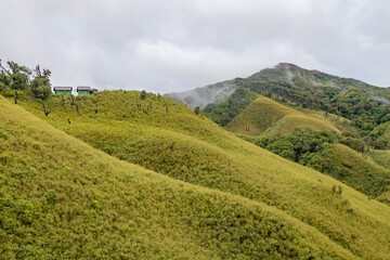 Obraz premium Trekking Hut in dzukou valley is located at the border of the Indian states of Nagaland and Manipur.This valley is well known for its natural environment, seasonal flowers and flora and fauna.