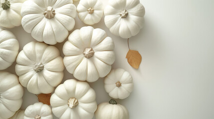 White pumpkin with gold leaf. Pumpkin Halloween banner - top view  isolated on pale white background. Flat lay Thanksgiving food banner with copy space.