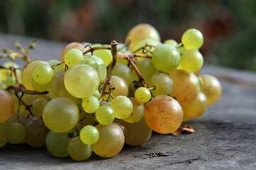 Grapes on a wooden table.