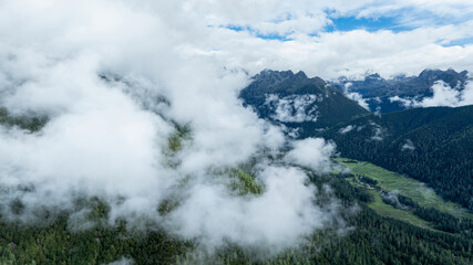 Beautiful high altitude forest mountain landscape in the fog