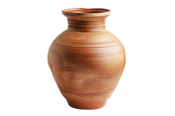 Fototapeta na wymiar Elegant ceramic vase