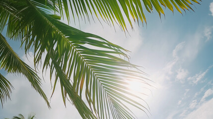 Palm Trees Over Tropical Lagoon With White Beach In Maldives. Summer background.