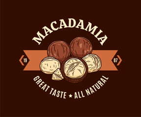 Vector macadamia colorful logo