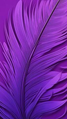 Fototapeta premium feathers of a feather