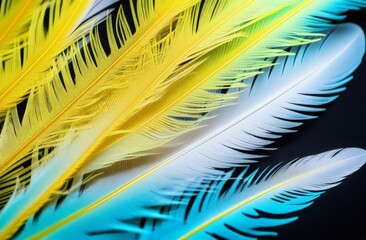 white feathers on blue background