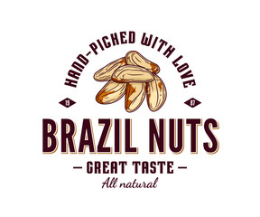 Vector brazil nut logo