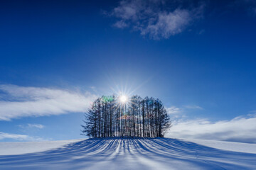 《北海道の絶景》冬のマイルドセブンの丘の彩雲