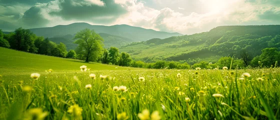 Fotobehang Beautiful spring nature landscape with blooming trees. Meadow, green hills, glade with flowers on sunny day. Mountains view. Springtime. Generative ai © Inai