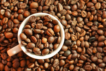 coffee beans in a cup with coffee beans background