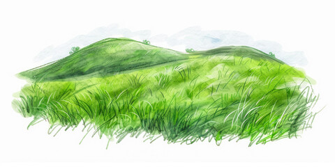 Green grass field on small hills. Meadow, alkali, lye, grassland, sketch illustration. - obrazy, fototapety, plakaty