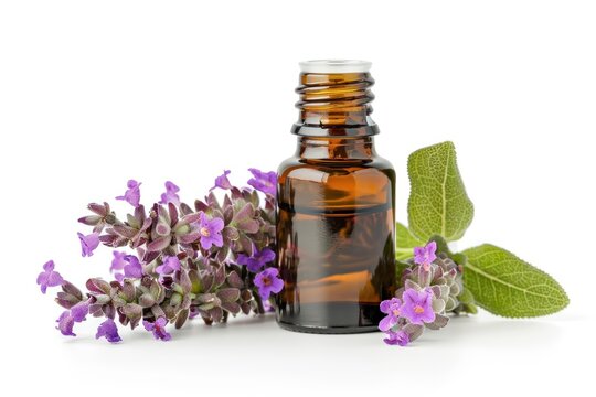 Clary sage essential oil isolated on white background