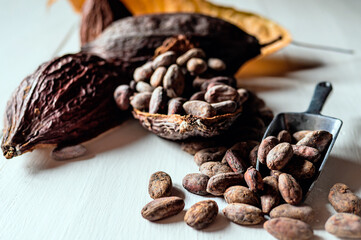 Close-up of brown cocoa beans and dry cacao pod on white wooden table