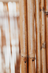 Beautiful Natural Brown Bamboo Background - 761393404