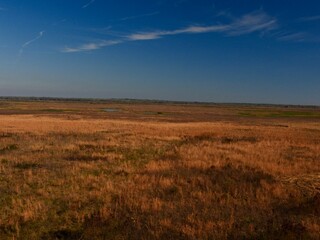 Paynes Prairie State Park is a vast open prairie.